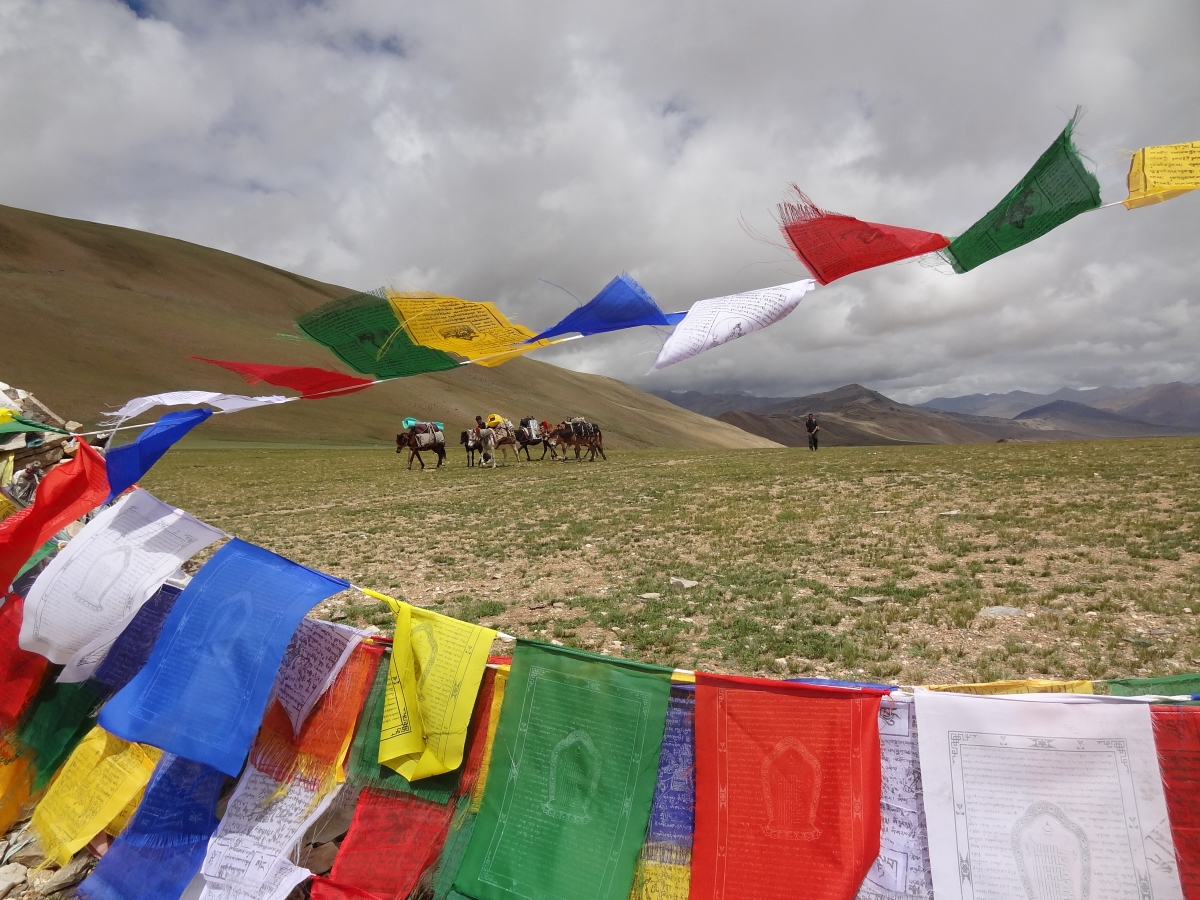 Tibetan prayer flags marking the top of a pass on a trekking route from Tso Kar to Karzok